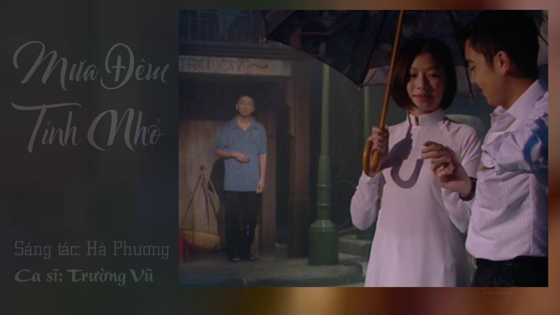 1-Mua Dem Tinh Nho - Truong Vu.jpeg