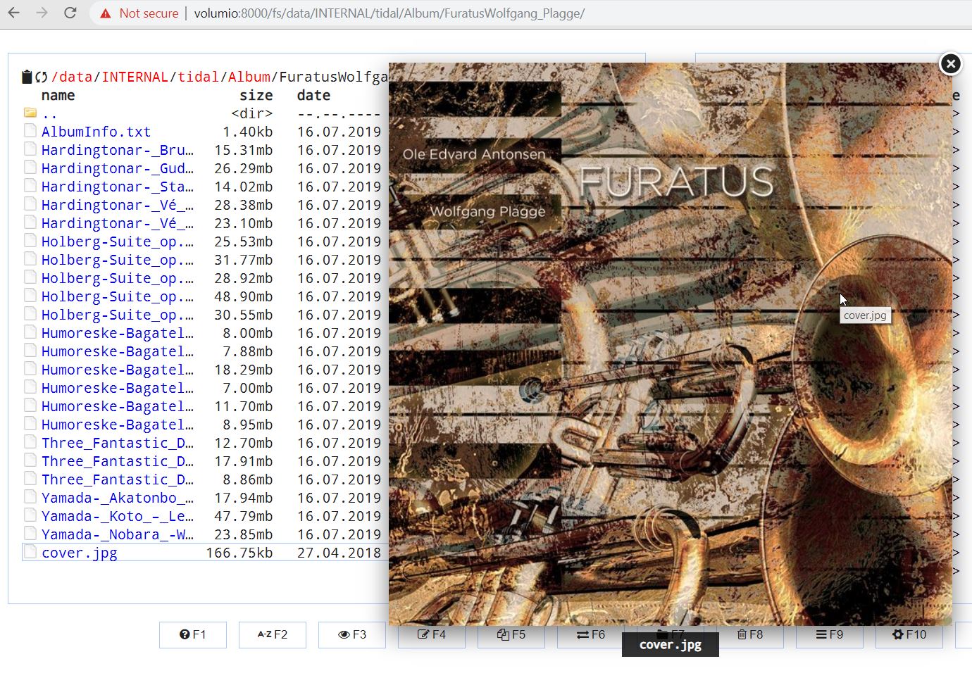 2019-07-16 19_25_45-Cloud Commander - _data_INTERNAL_tidal_Album_FuratusWolfgang_Plagge_.jpg