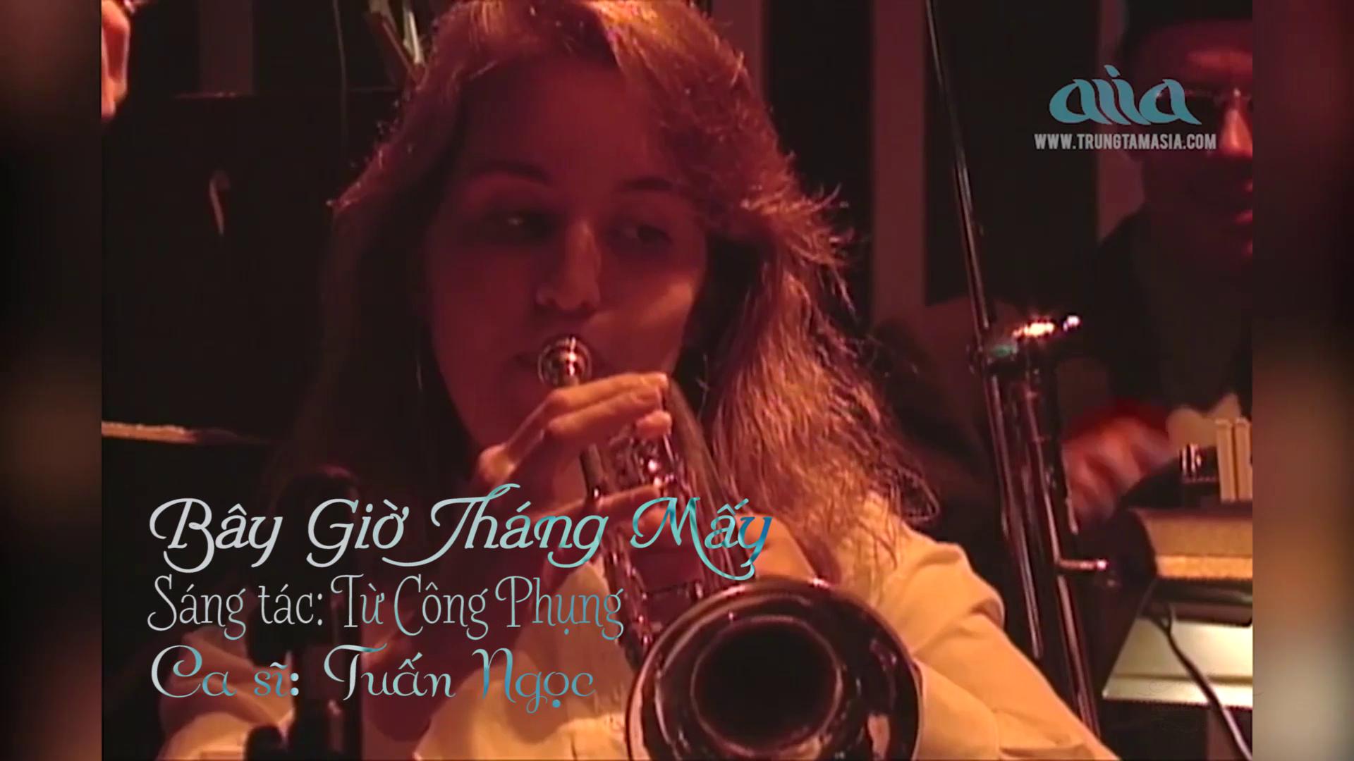 4-[1080P]-Bay.Gio.Thang.May - Tuan.Ngoc [flac].mkv.jpeg