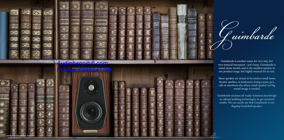 audiosolutions guimbarde 1.jpg