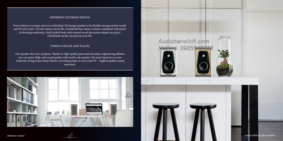 audiosolutions guimbarde 2.jpg