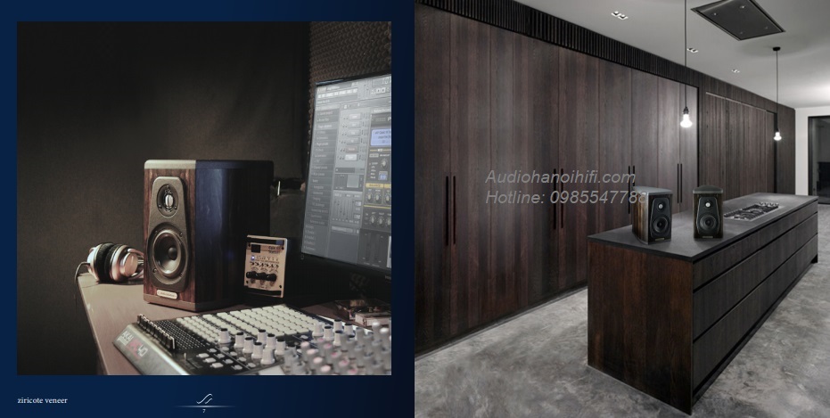 audiosolutions guimbarde 3.jpg