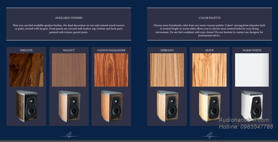 audiosolutions guimbarde 4.jpg
