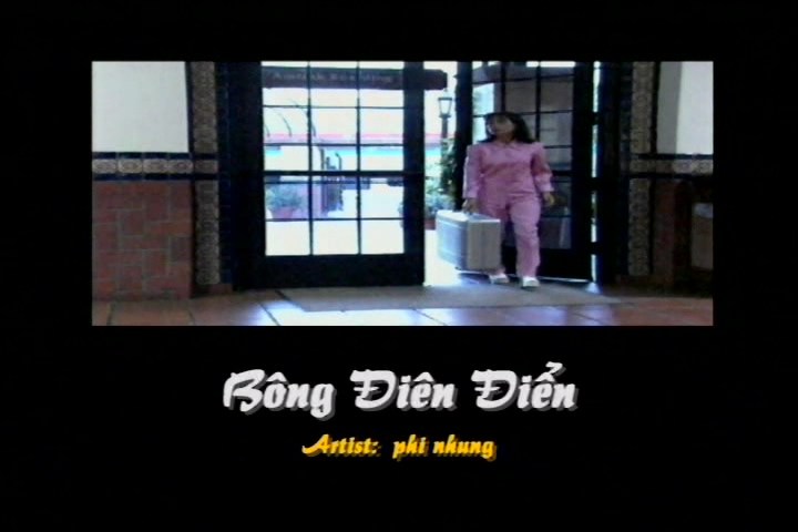 Bong dien dien - Phi Nhung.jpg