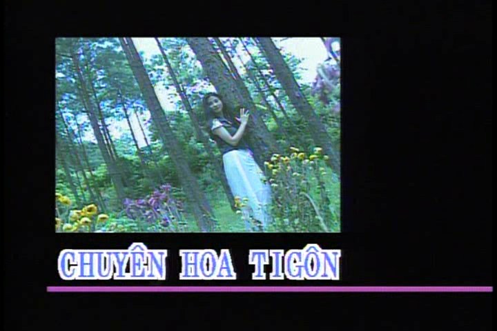 Chuyen hoa Tigon - F.jpg