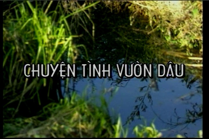 Chuyen tinh vuon dau - Phi Nhung.jpg