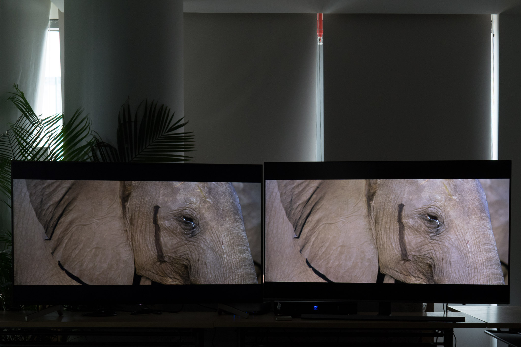 hd 2.jpg