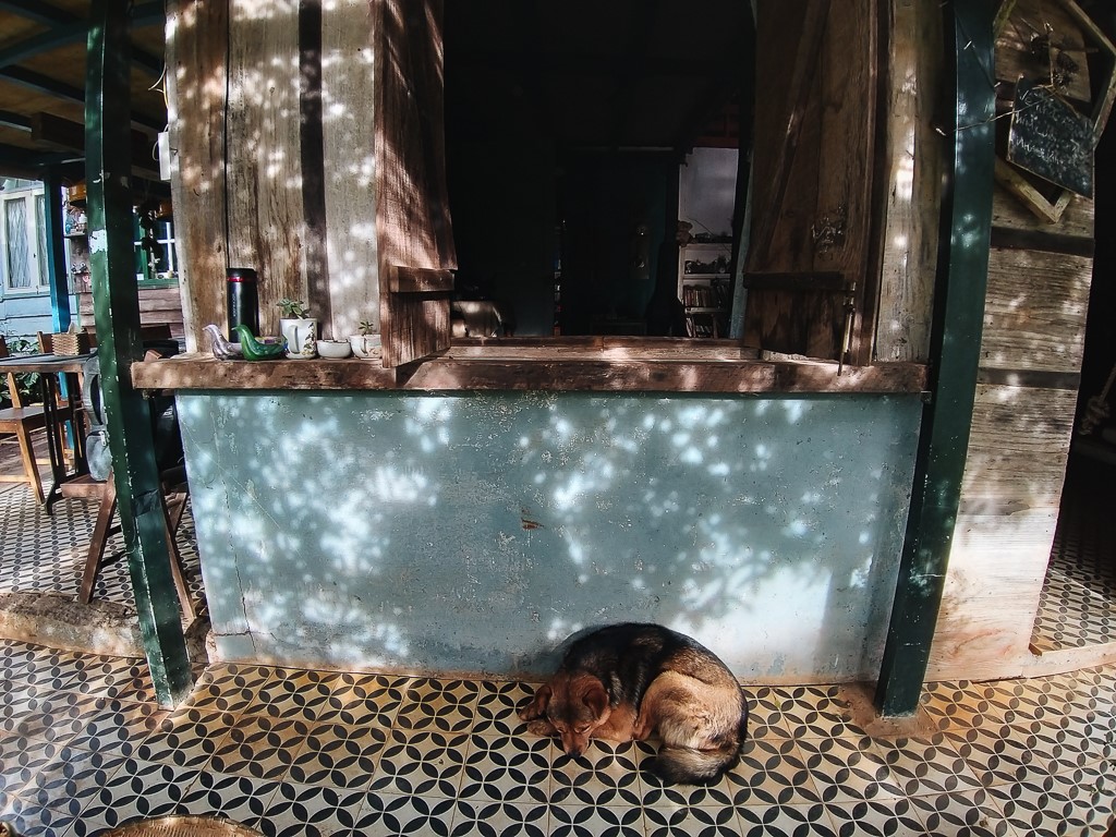 hd.jpg