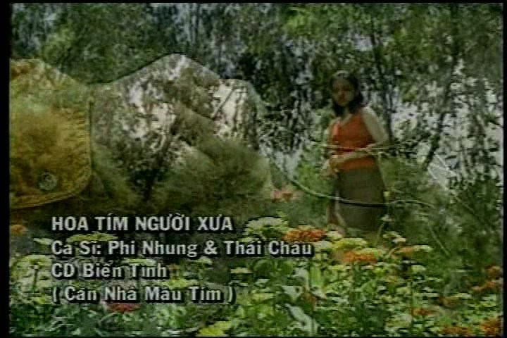 Hoa tim nguoi xua - Phi Nhung - Thai Chau.jpg