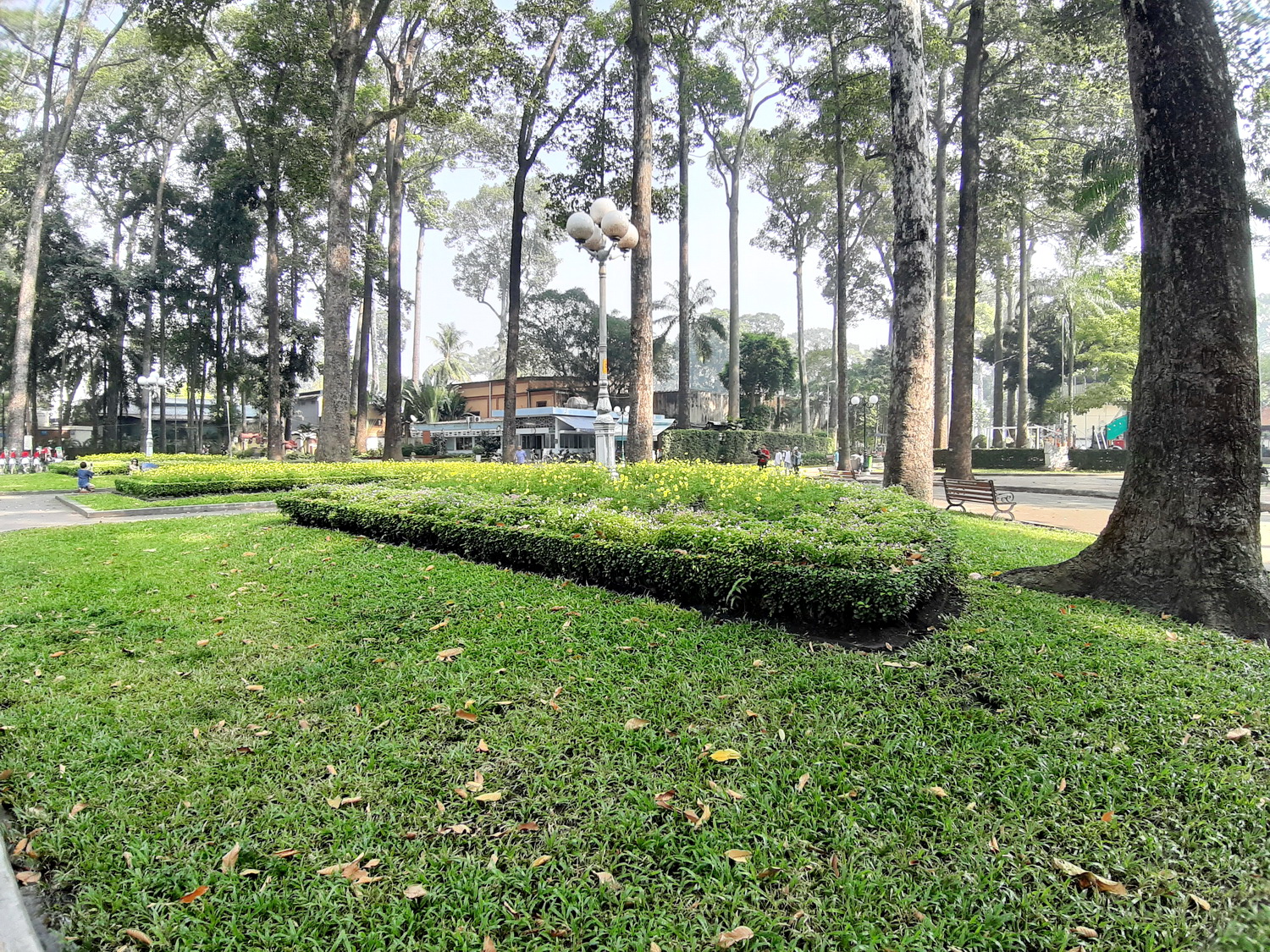 IMG2-2.jpg