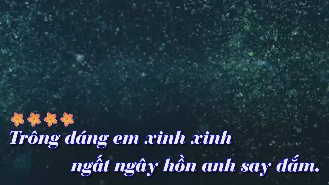 Mong buom hoa - Vu Linh.mkv_snapshot_00.27.041.jpg