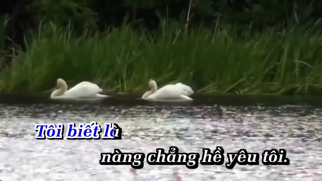 Mot Ten Hai Ho - Duc Duy.mkv_snapshot_00.15.915.jpg