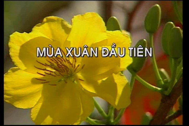 Mua xuan dau tien - Ngoc Bich.jpg