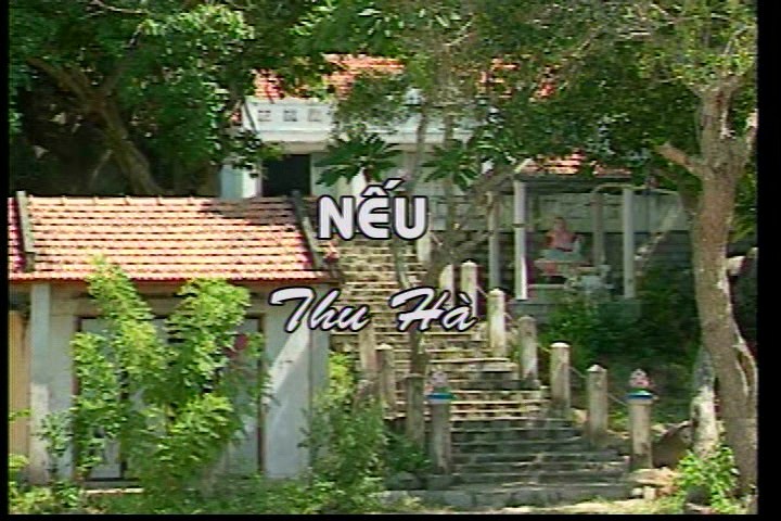 Neu - Thu Ha.jpg