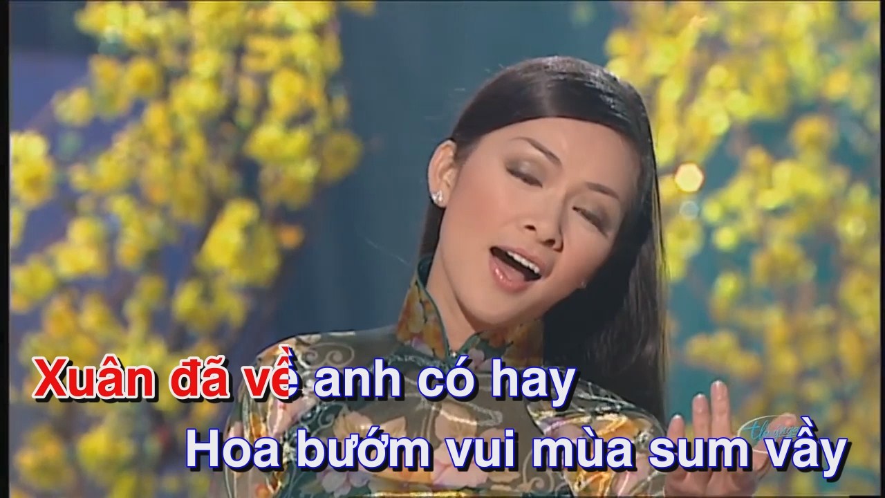 Neu xuan nay vang anh - Phi Nhung.mkv_snapshot_00.48.022.jpg