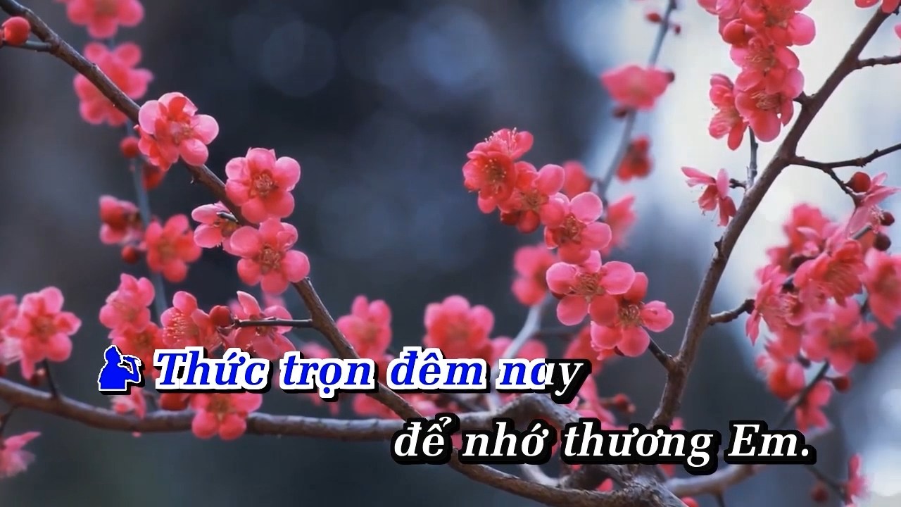 Nho Nguoi Yeu - Huy Vu Ft. Ha My.mkv_snapshot_00.51.597.jpg