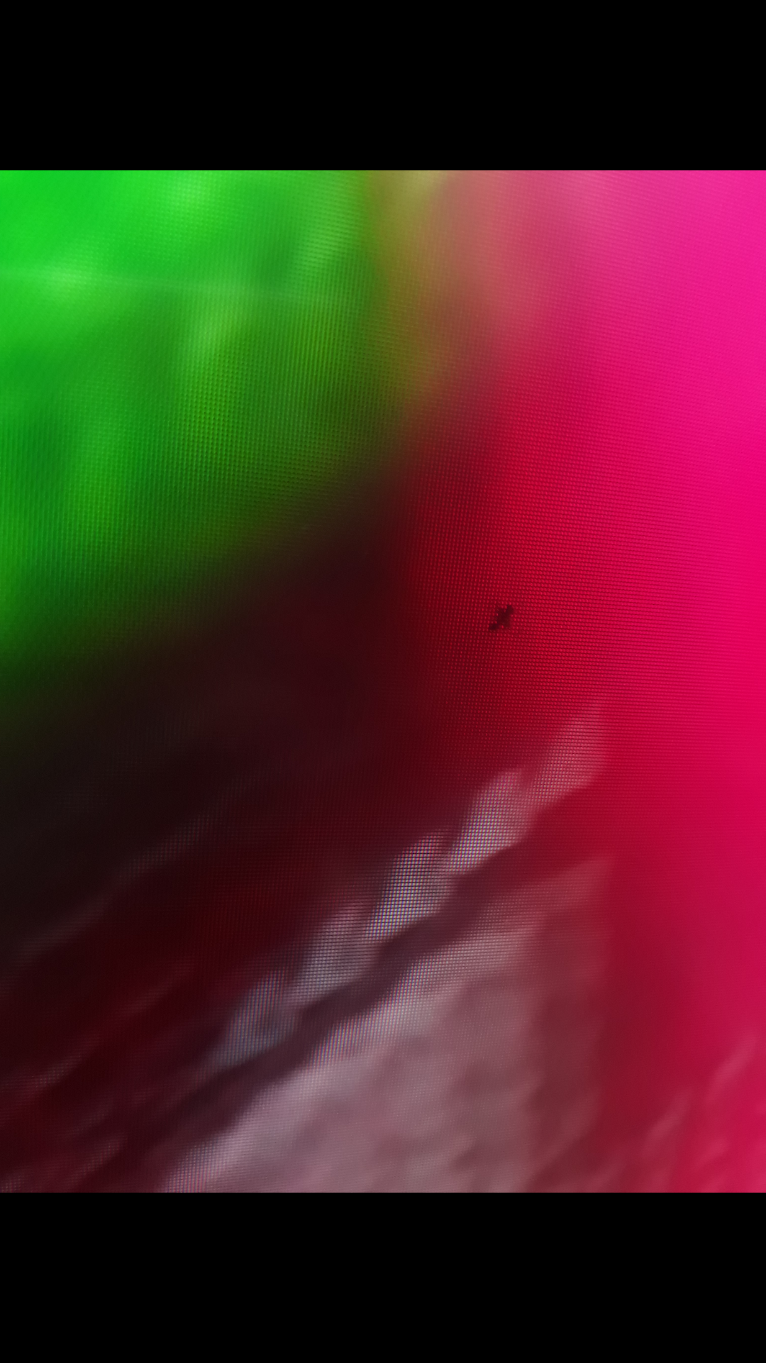 received_245492526138428.png