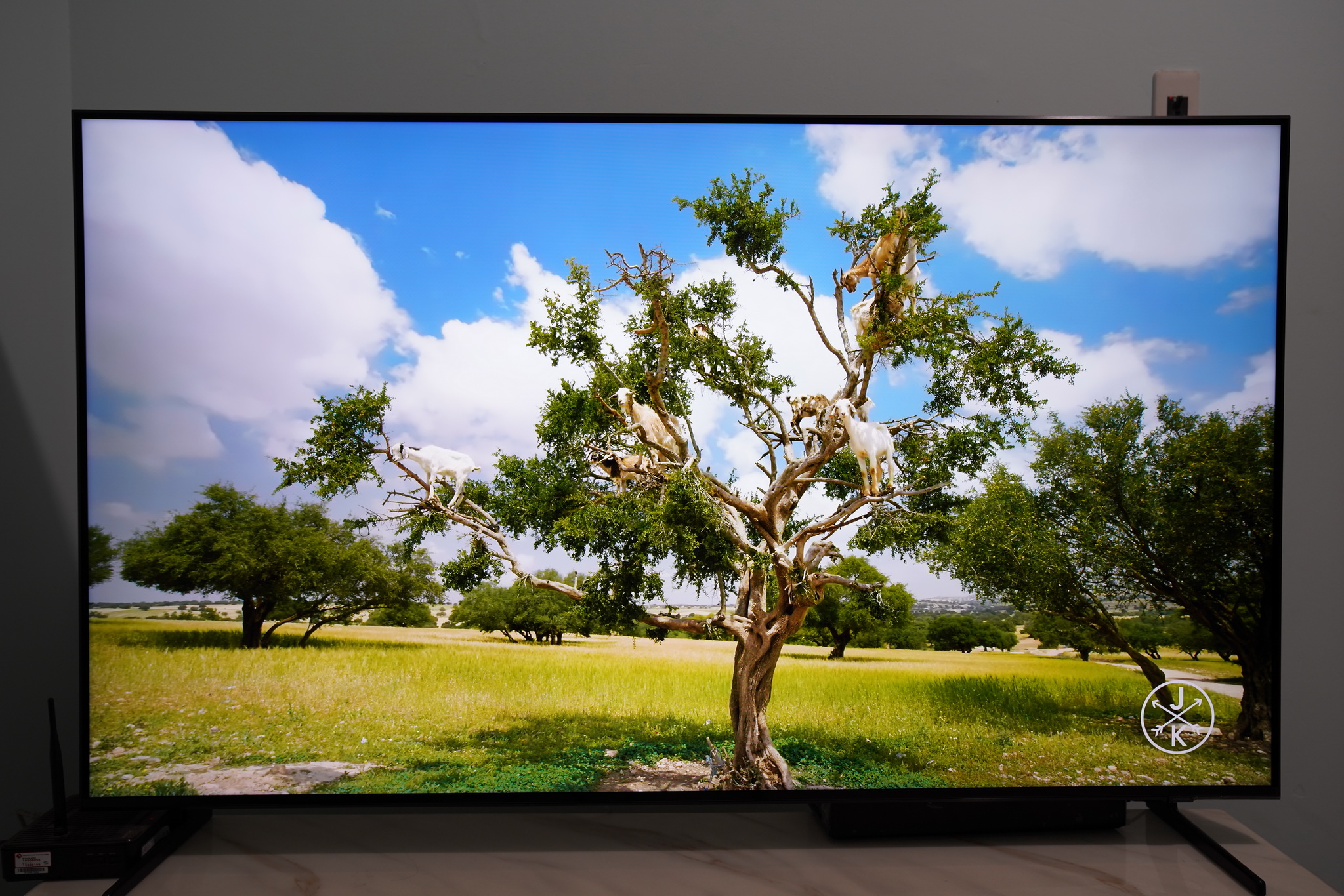 samsung-qled-8k-06.JPG