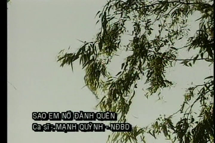 Sao em no danh quen - Manh Quynh.jpg