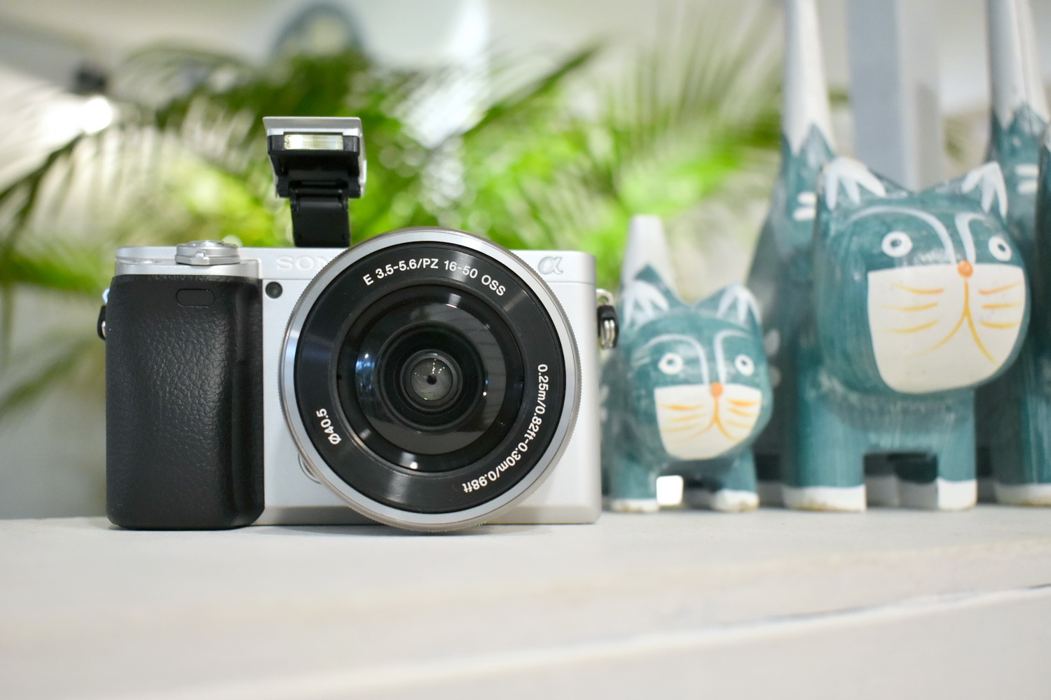 Sony-A6400-18.JPG
