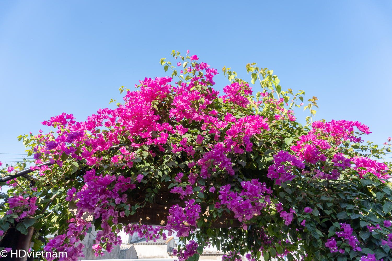 Sony-A6400-Photo-Sample-D-01.jpg