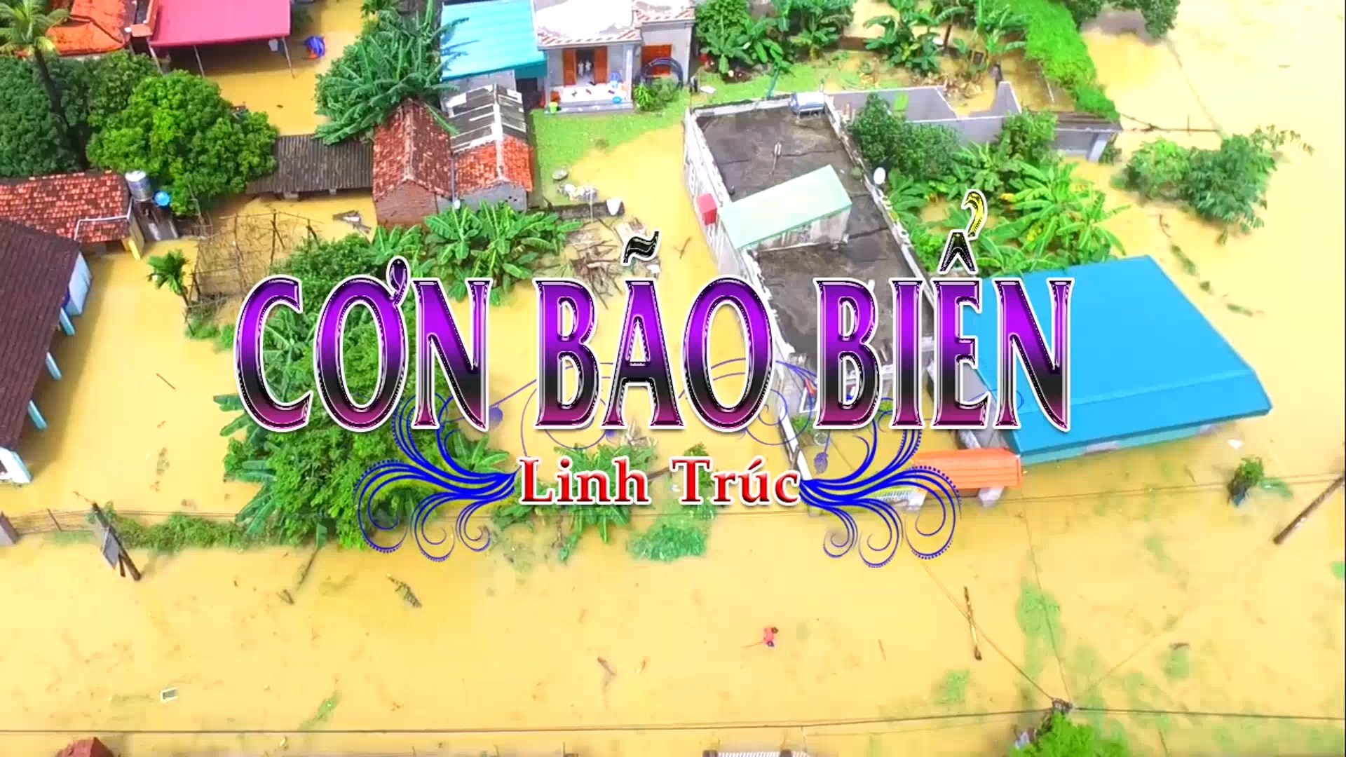 Tan Co Con Bao Bien .linh Truc.mkv_snapshot_00.07.207.jpg
