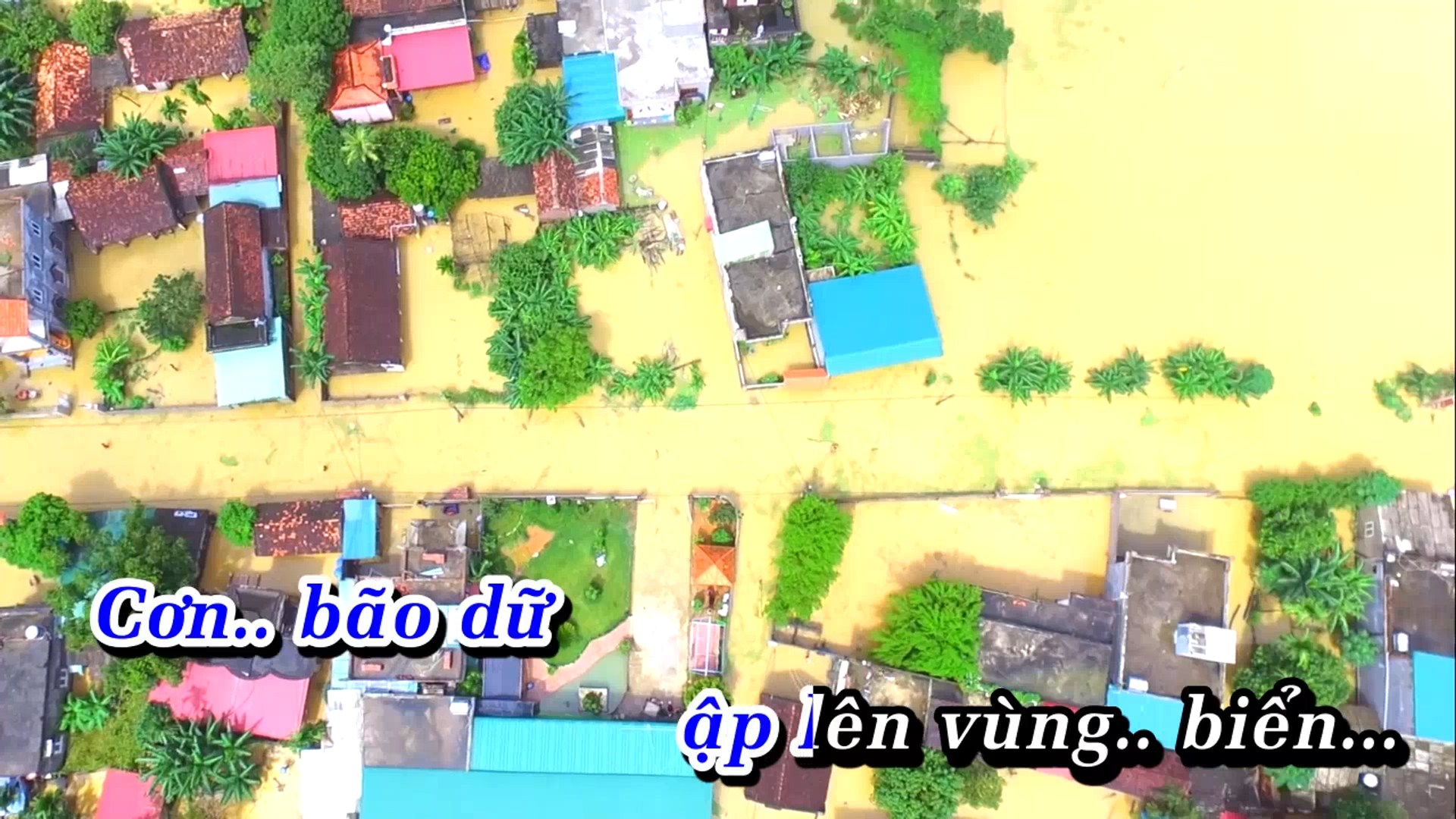Tan Co Con Bao Bien .linh Truc.mkv_snapshot_00.24.776.jpg
