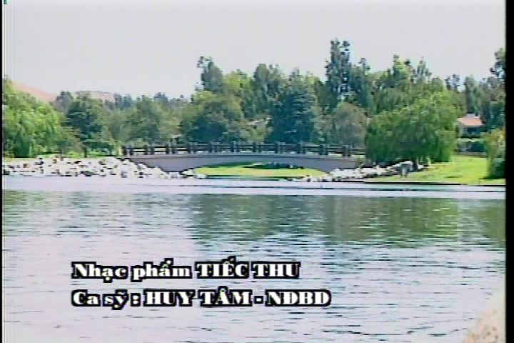 Tiec thu - Huy Tam.jpg