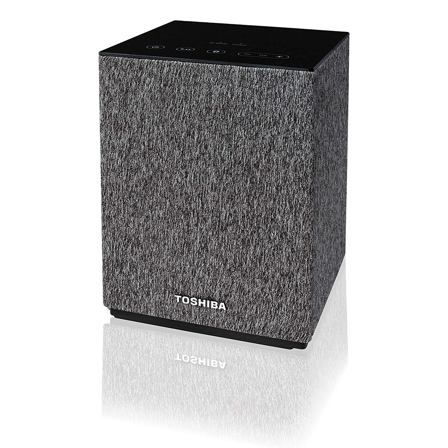 Toshiba TY-GC1000 (1).jpg