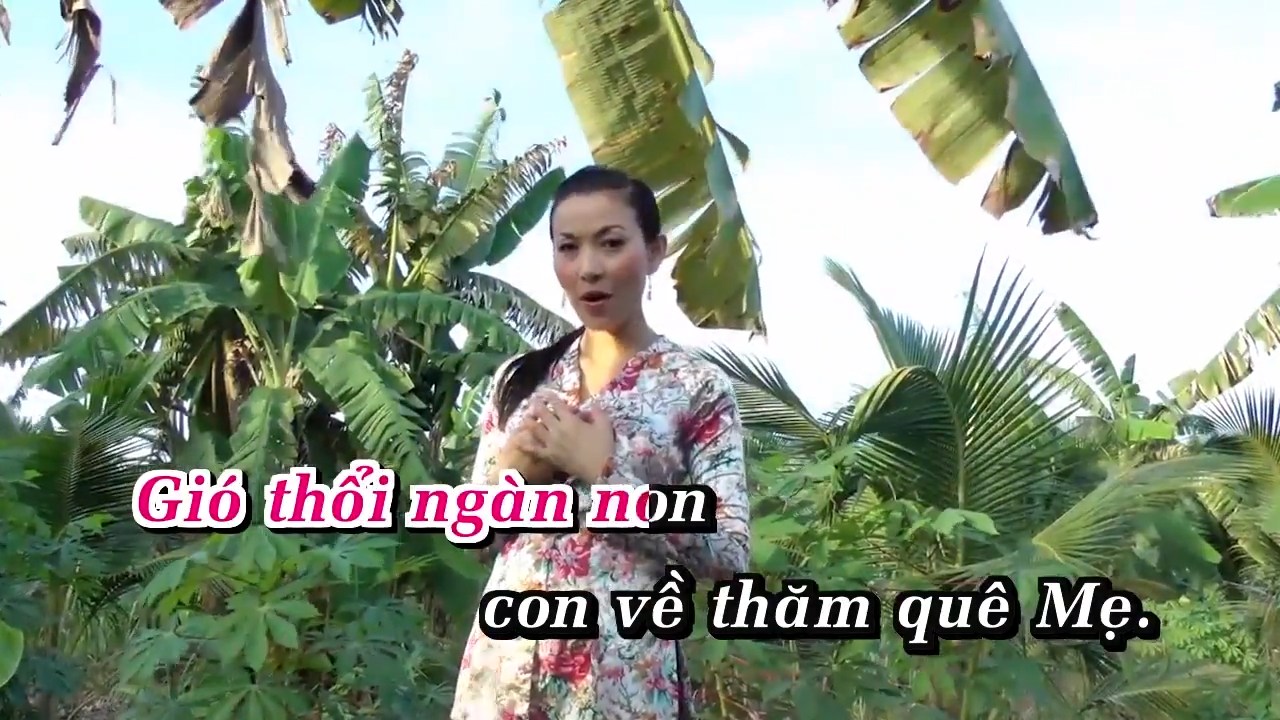 Ve Tham Que Me - Ly Dieu Linh.mkv_snapshot_00.32.188.jpg
