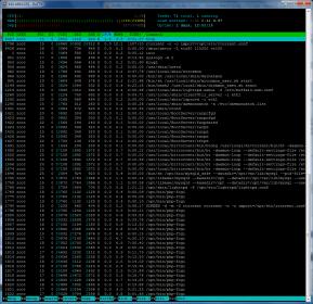 htop.jpg