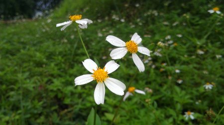 IMAG04491.jpg