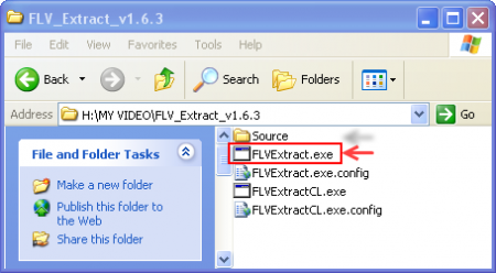 FLV Extract v1.6.3.png