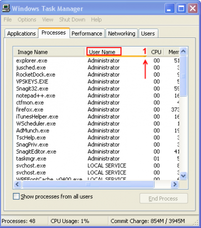 Windows Task Manager.png