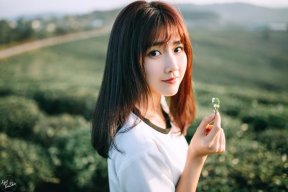 Ly Ly Trần