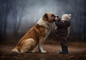 Ngoc_nam123