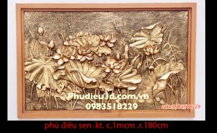 phudieuannhien