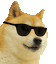 quangzed123