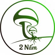 2namvn