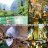 tourdulichquangbinh