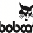 bobcat_anh